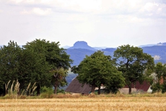 Meusegast