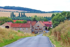 Krebs