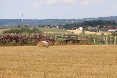 bei Gorknitz - Blick Richtung Dresden
