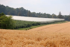 bei Röhrsdorf