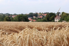 Röhrsdorf
