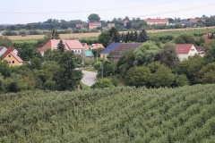 Bosewitz